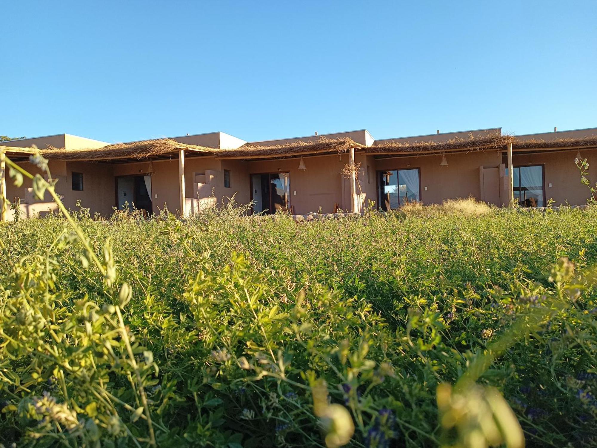 Solor Tiunur Lodge المظهر الخارجي الصورة